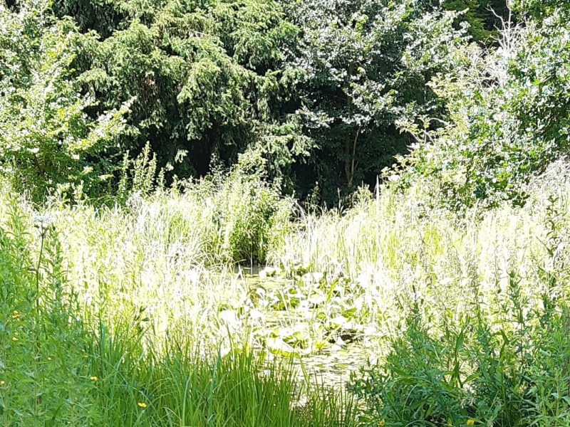 Braywick Nature Reserve