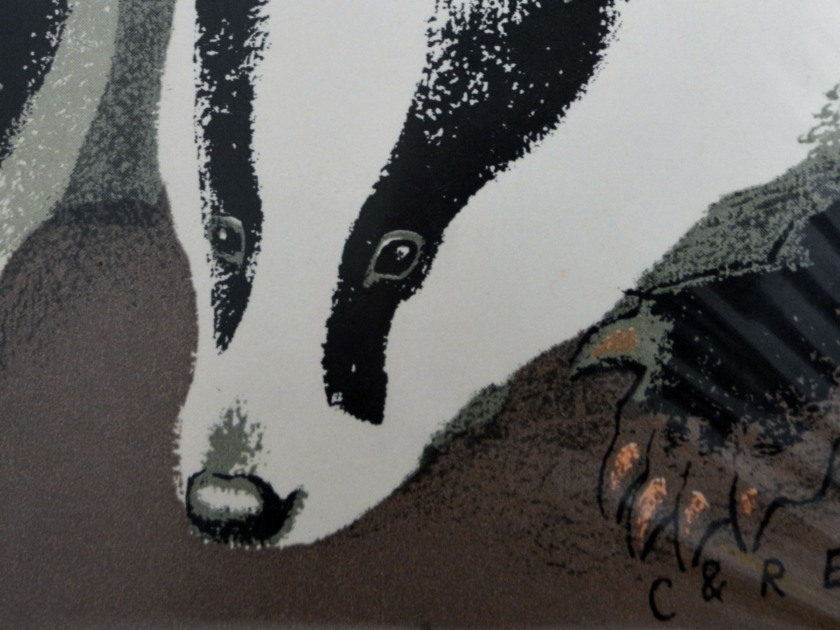 Badgers – Engineers of the&nbsp;Forest